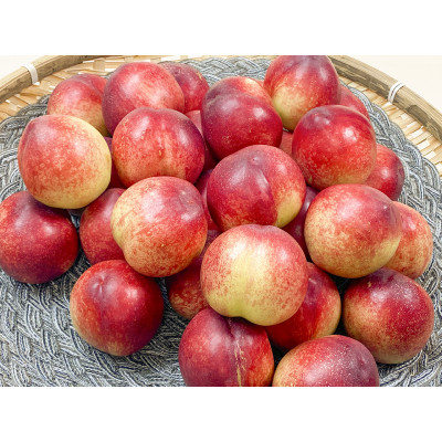 [더기다림]고당도 신비 복숭아 로얄과 18과 ~ 22과 2KG